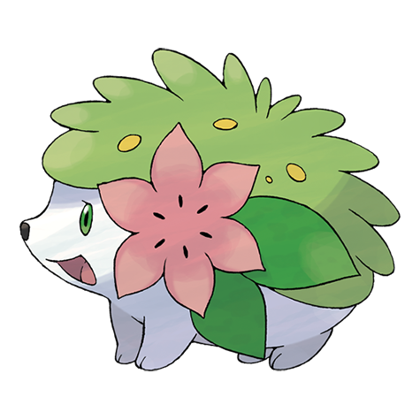 陆上形态